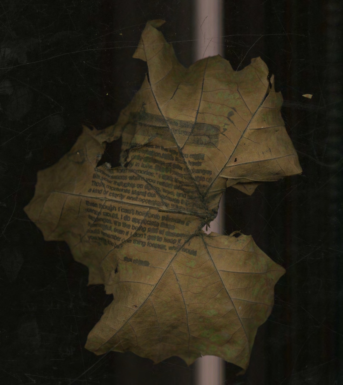 Eternal Decay scan page 13
